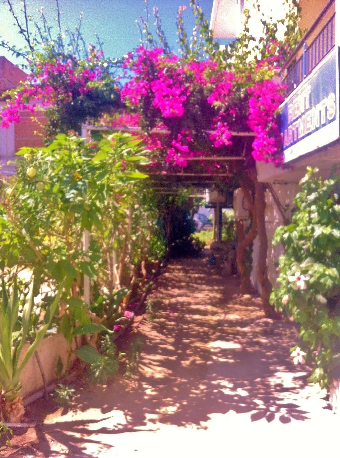 Apollonia Apartments Agia Pelagia Eksteriør bilde